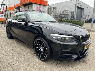 dommages fourgonnettes/vécules utilitaires BMW 2-serie 220i High Executive 2019/4